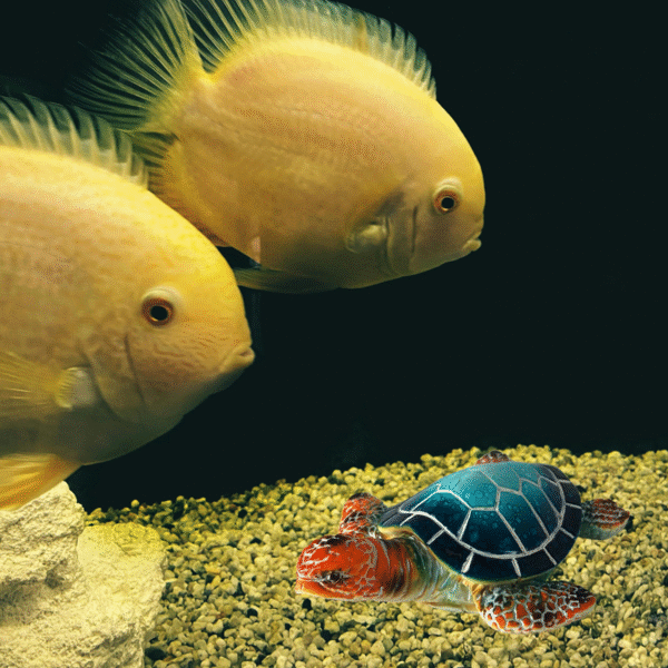 Turtle Ocean Ornament Statue – Resin Decorative Aquarium Figurine for Home & Office - Image 3