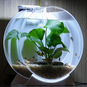 Ultra White Integrated Fish Tank – Modern Aquarium for Home & Office Decor, Ideal for Freshwater Fish